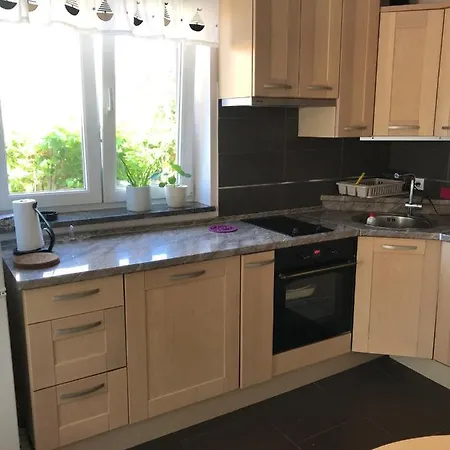 Apartment Sinikovic