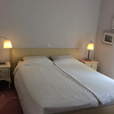 Apartment Sinikovic *