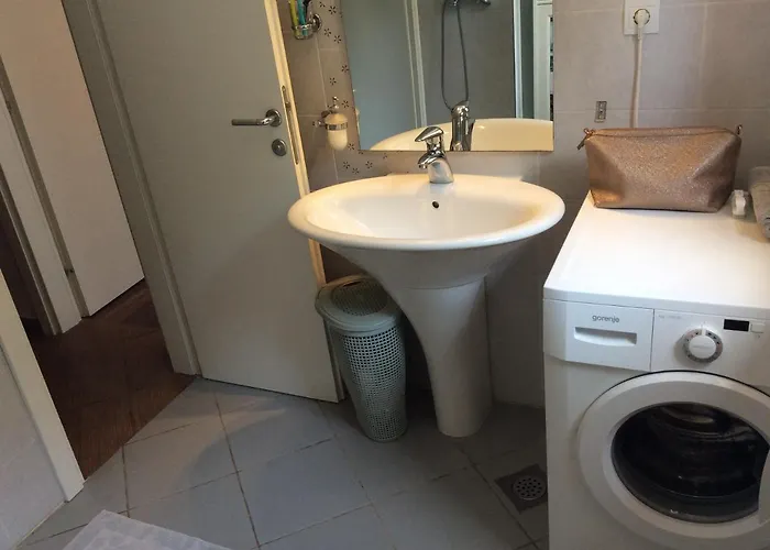 Apartment Sinikovic *